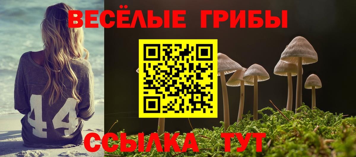 Галлюциногенные грибы мицелий Железногорск